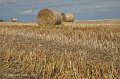 Harvest time at Castlerock, Co. Derry